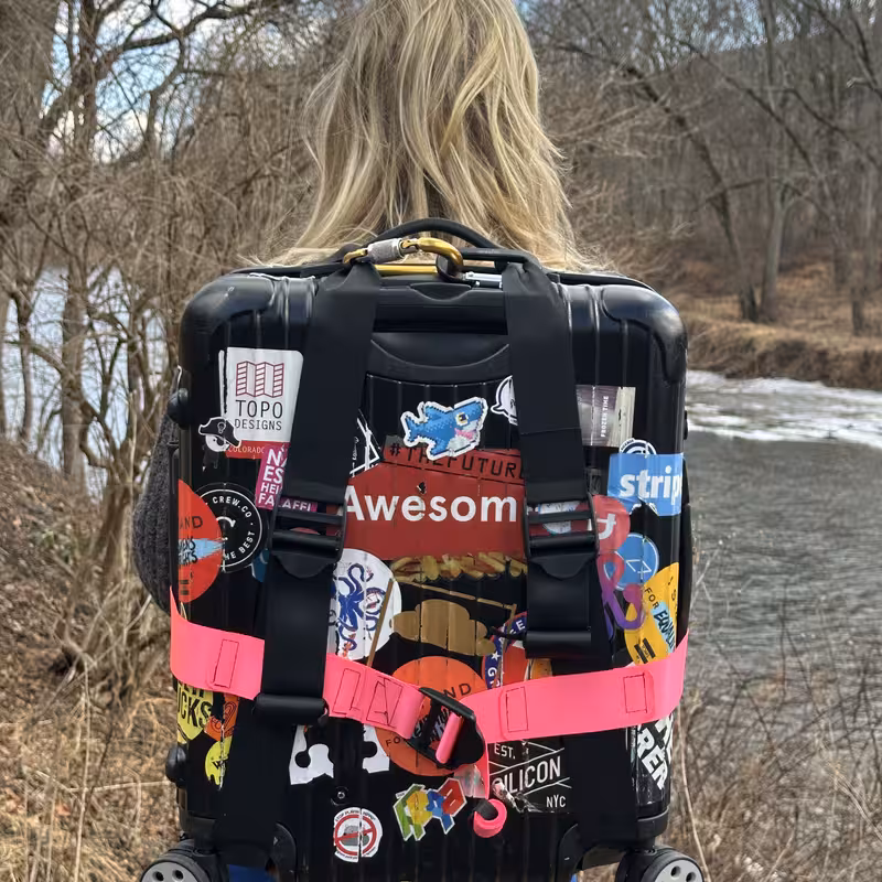 Back view of the harness: two shoulder straps running from the top handle down to the base of the case, crossed by the pink strap with its buckle